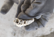 ONU pide «investigaciones exhaustivas», tras descubrimiento de restos humanos en un rancho en México