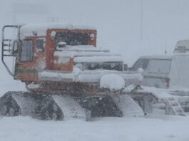 Autoridades recuperaron los cuerpos de esquiadores muertos por avalancha en EEUU