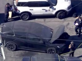 Revelan nuevos detalles sobre el vil crimen de Celeste Rivas, la adolescente hallada en el Tesla de D4vd