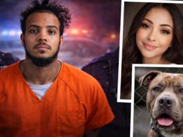 Trató de culpar a su perro luego de asesinar a su novia en Texas, pero el plan no resultó como esperaba