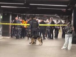Una persona fue abatida por agentes tras apuñalamiento masivo en el metro de Nueva York