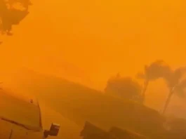 Escena apocalíptica: incendio en el sur de California obligó a una propietaria a huir para salvar su vida